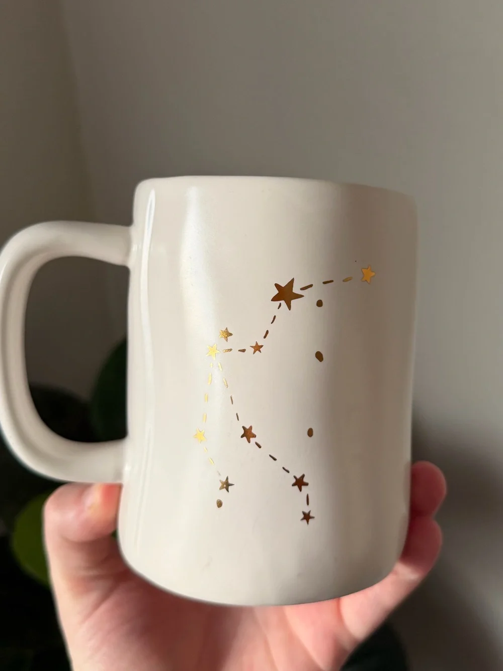 Rae Dunn Aquarius Gold Lettering Ceramic Mug